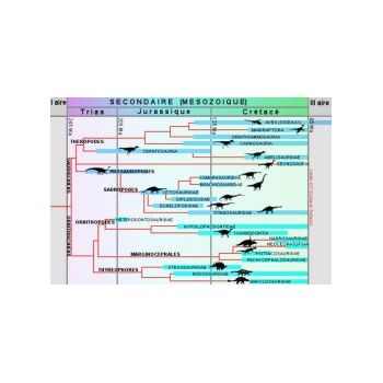 File Manager - Item Preview