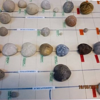 File Manager - Item Preview