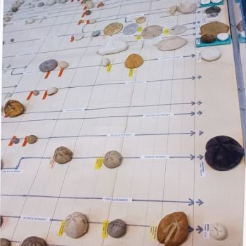 File Manager - Item Preview