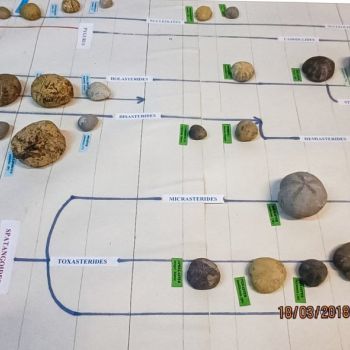 File Manager - Item Preview