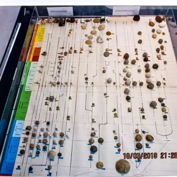 File Manager - Item Preview