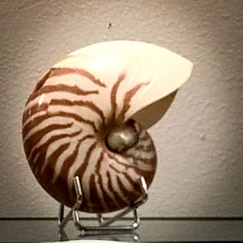 File Manager - Item Preview