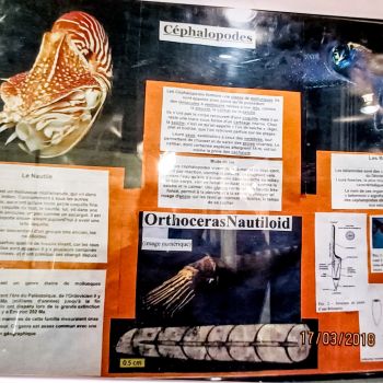 File Manager - Item Preview