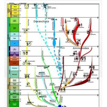 File Manager - Item Preview