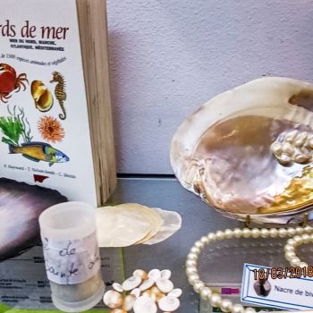 File Manager - Item Preview