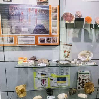 File Manager - Item Preview