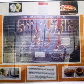 File Manager - Item Preview