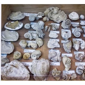 File Manager - Item Preview