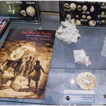 File Manager - Item Preview