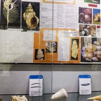 File Manager - Item Preview