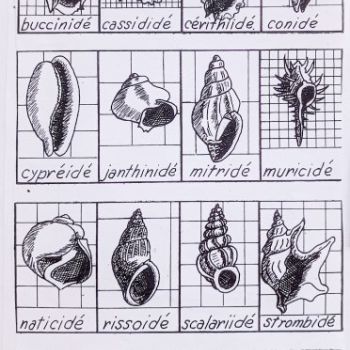 File Manager - Item Preview