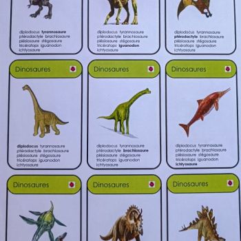 File Manager - Item Preview