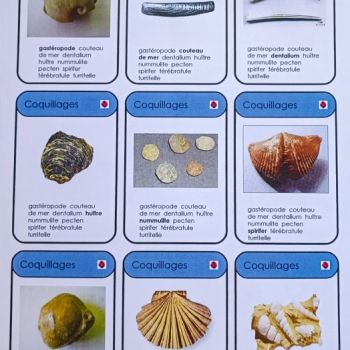 File Manager - Item Preview