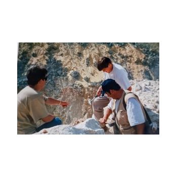 File Manager - Item Preview