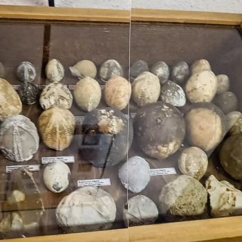 File Manager - Item Preview