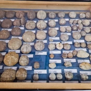 File Manager - Item Preview