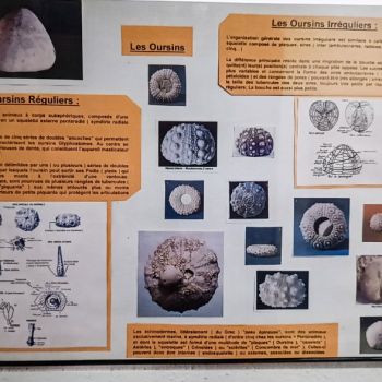 File Manager - Item Preview