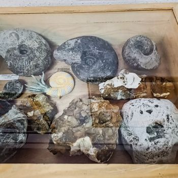 File Manager - Item Preview