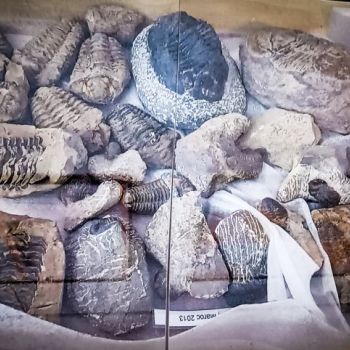 File Manager - Item Preview