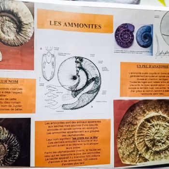 File Manager - Item Preview