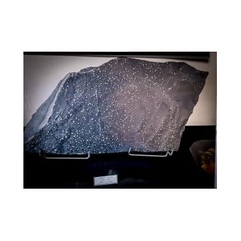 File Manager - Item Preview