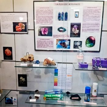 File Manager - Item Preview