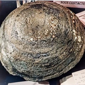 File Manager - Item Preview