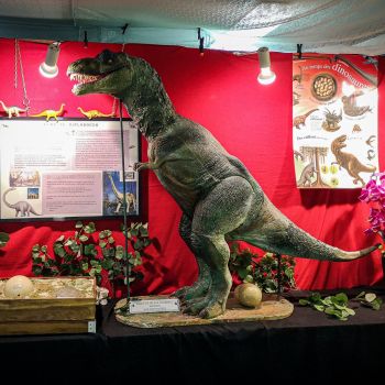 File Manager - Item Preview