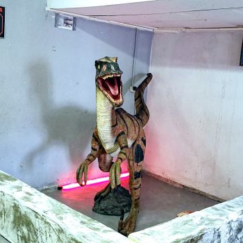 File Manager - Item Preview