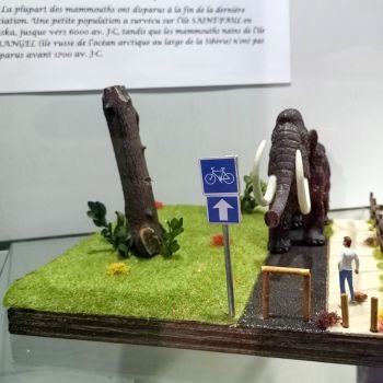 File Manager - Item Preview