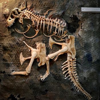 File Manager - Item Preview