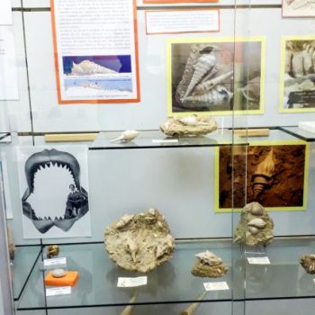 File Manager - Item Preview