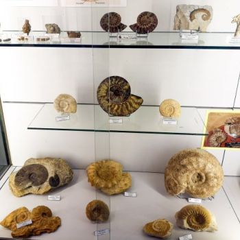 File Manager - Item Preview