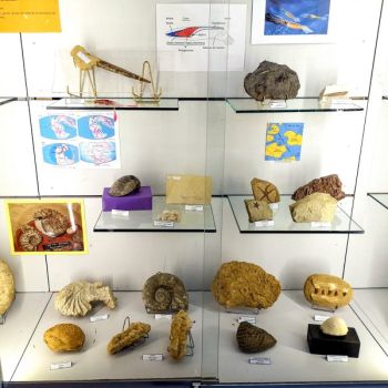 File Manager - Item Preview