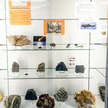 File Manager - Item Preview