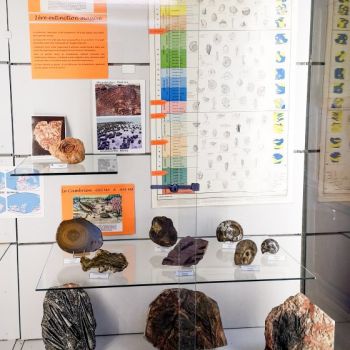 File Manager - Item Preview