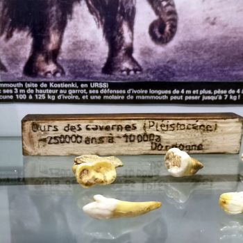 File Manager - Item Preview