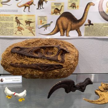 File Manager - Item Preview