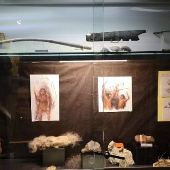 File Manager - Item Preview