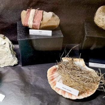 File Manager - Item Preview