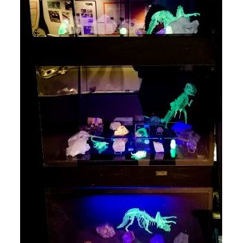 File Manager - Item Preview