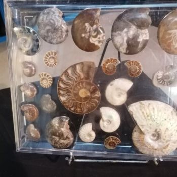 File Manager - Item Preview