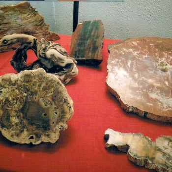 File Manager - Item Preview