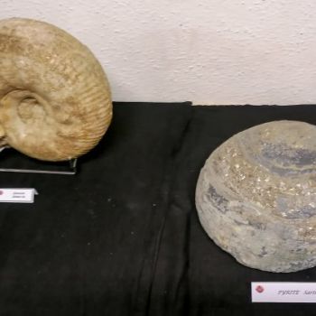 File Manager - Item Preview