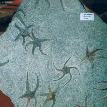 File Manager - Item Preview