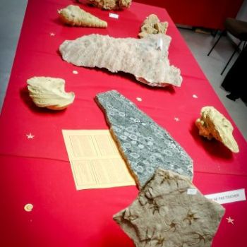 File Manager - Item Preview