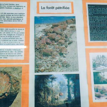 File Manager - Item Preview