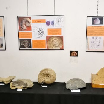 File Manager - Item Preview