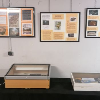 File Manager - Item Preview