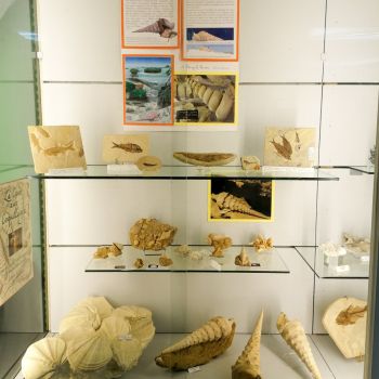 File Manager - Item Preview